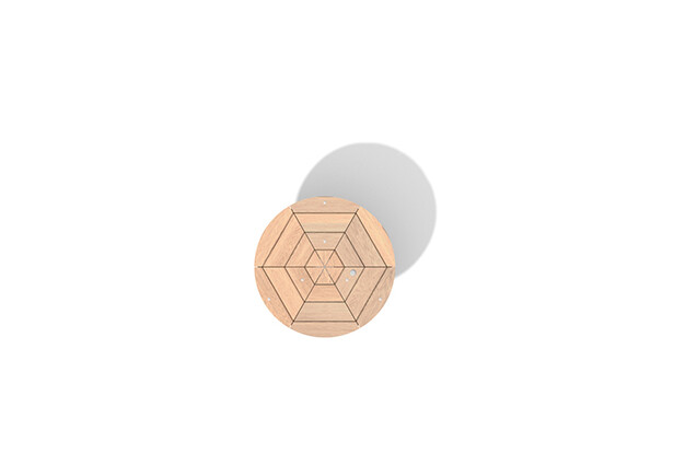 Carousel - turntable robinia