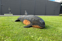 Play sculpture - Porpoise